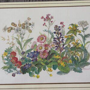 Pimpernel Vintage 12"x9" floral placemats